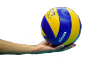 volley300transparent